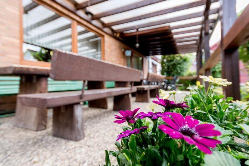 Gasthaus Dernedde Osterode am Harz Exteriér fotografie